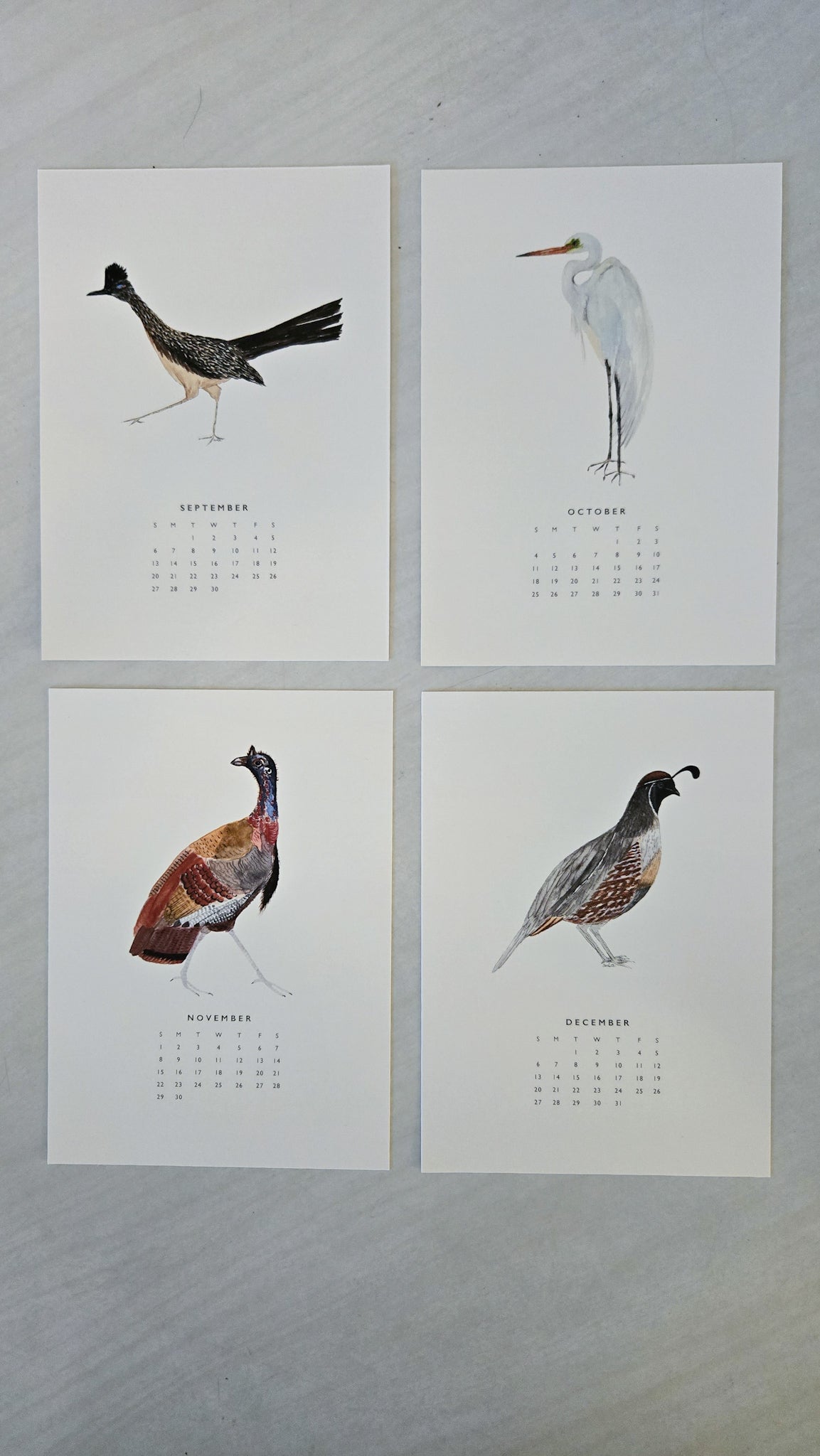 Watercolor Birds 2026 Calendar