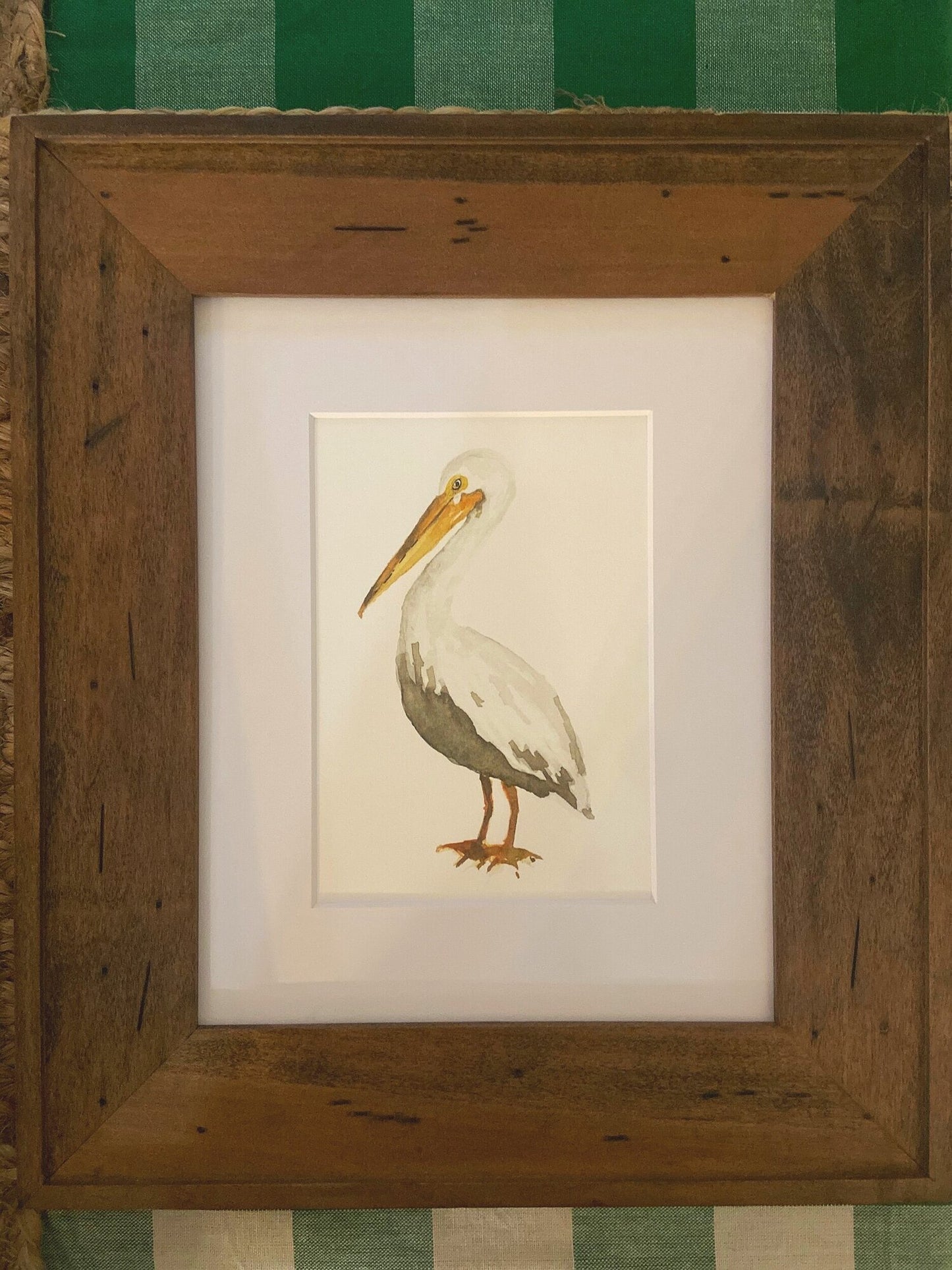 White Pelican