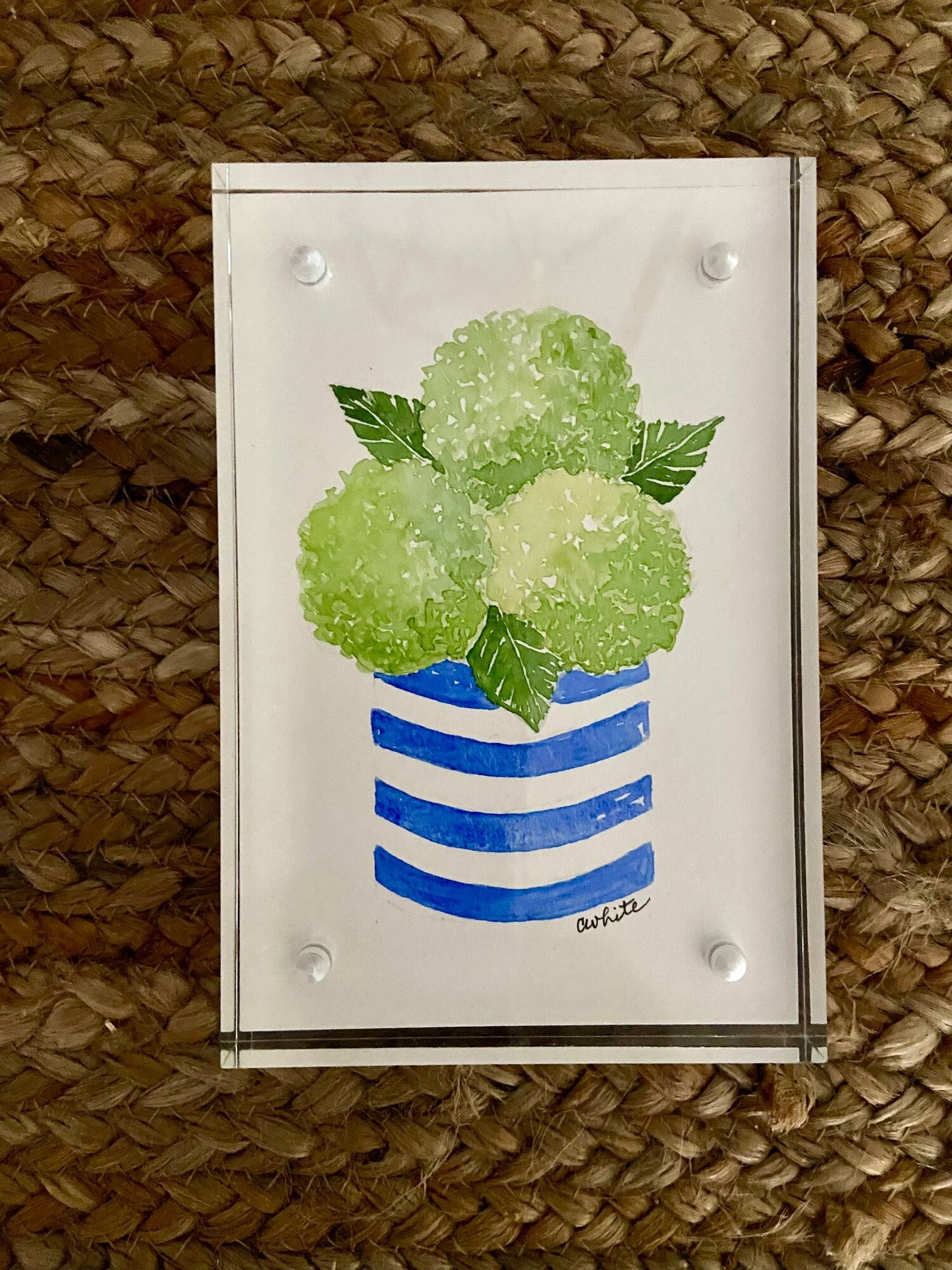 Green Hydrangeas in Blue Stripe Vase