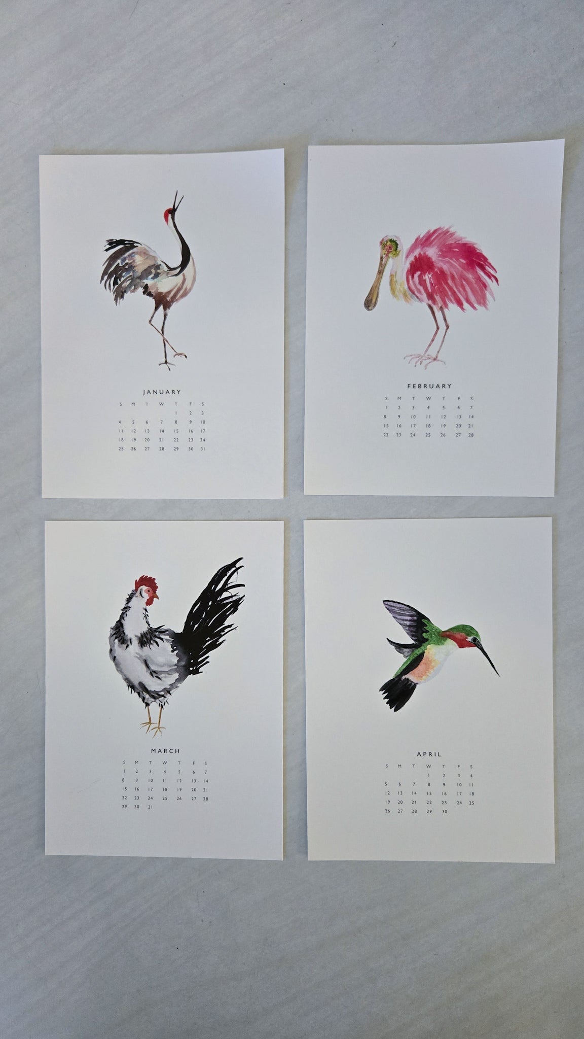 Watercolor Birds 2026 Calendar