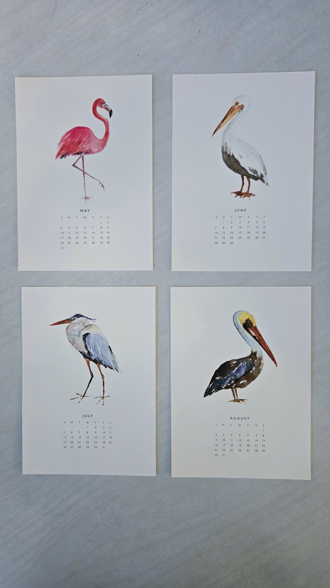 Watercolor Birds 2026 Calendar