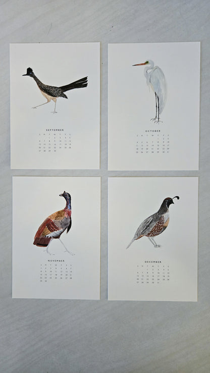 Watercolor Birds 2026 Calendar
