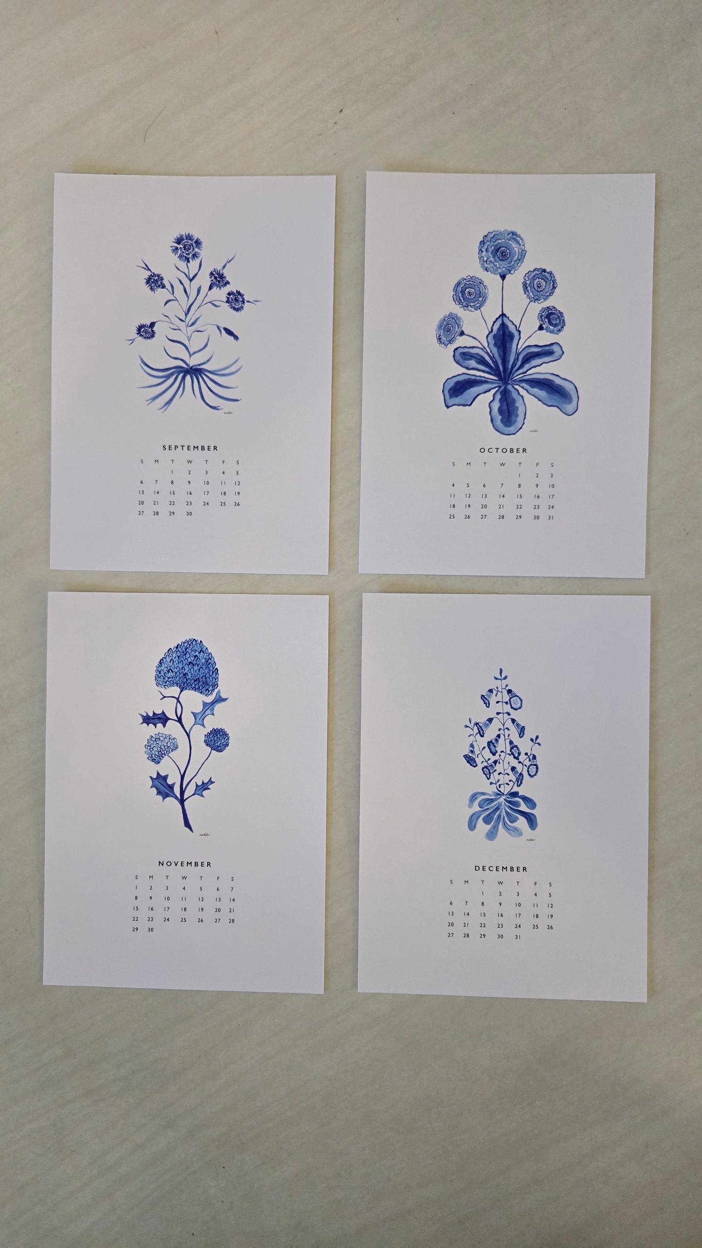 Blue and White Botanical Calendar 2026