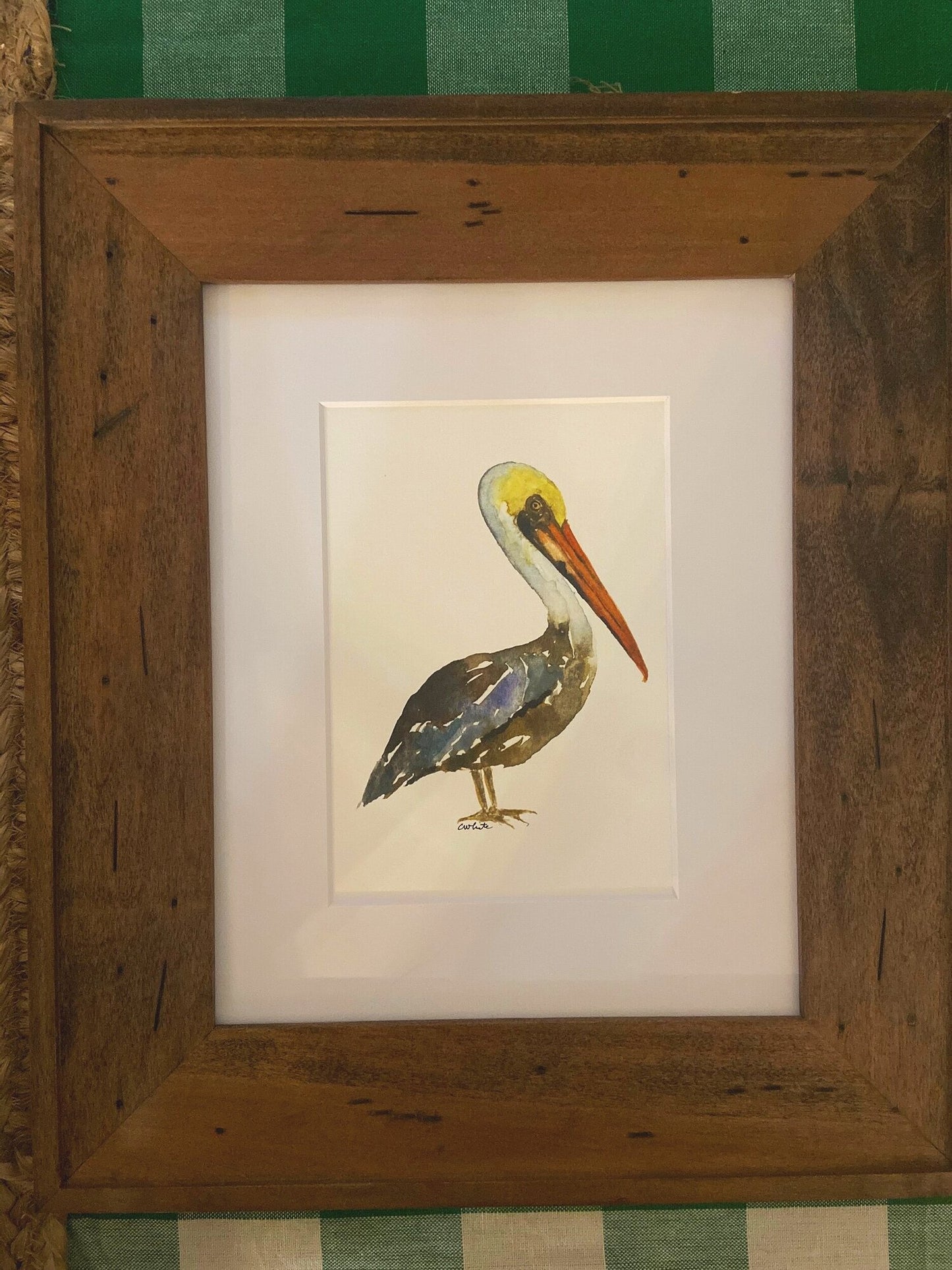 Pelican