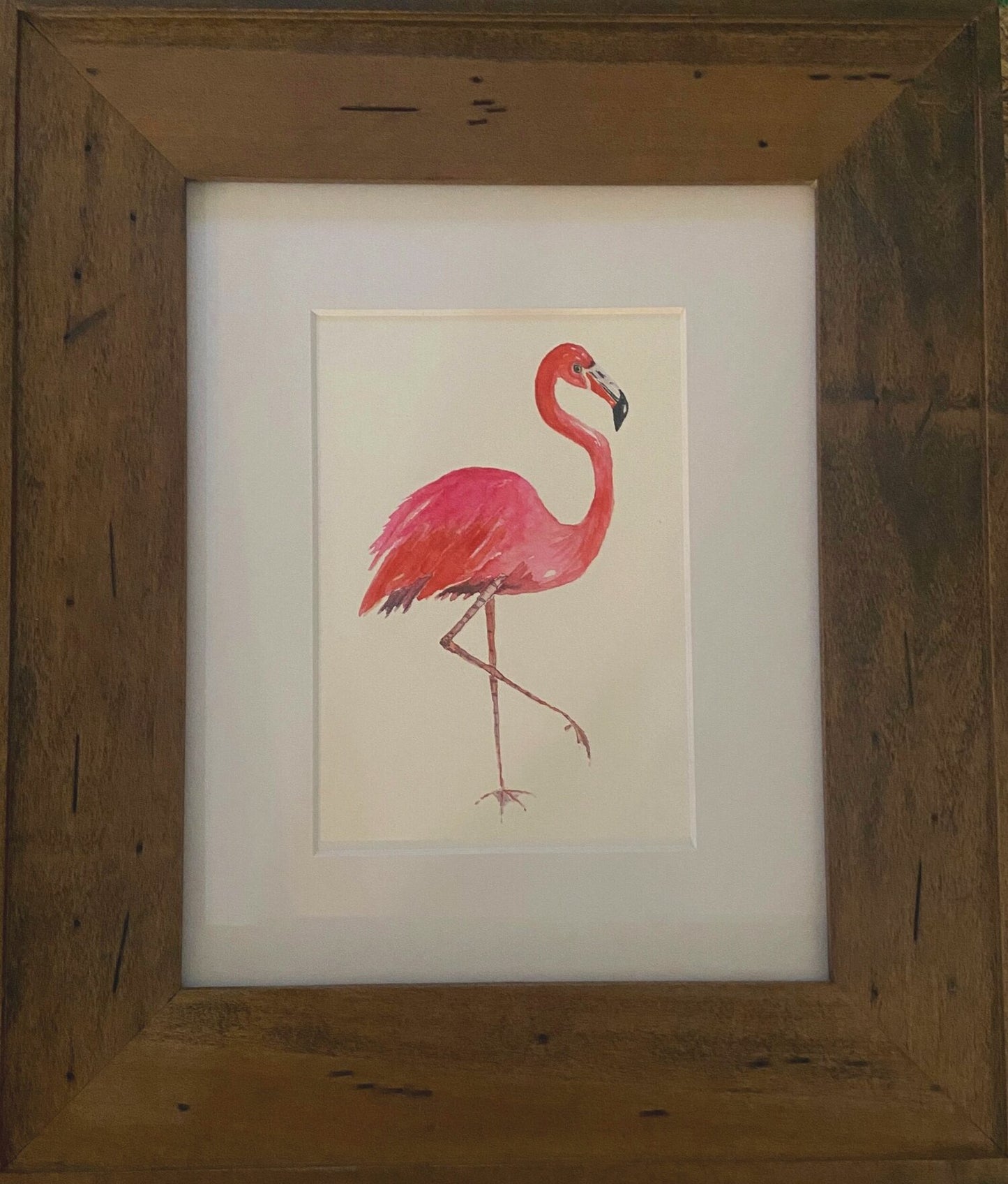 Flamingo