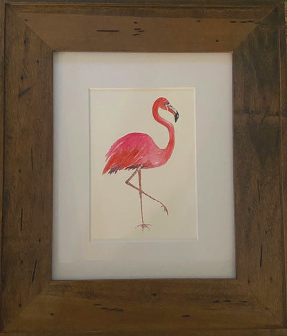 Flamingo